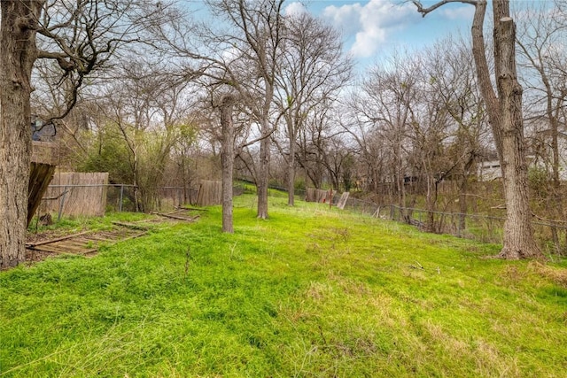 1406 Webberville Rd, Austin, TX 78721 - view of yard