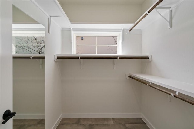 view of spacious closet