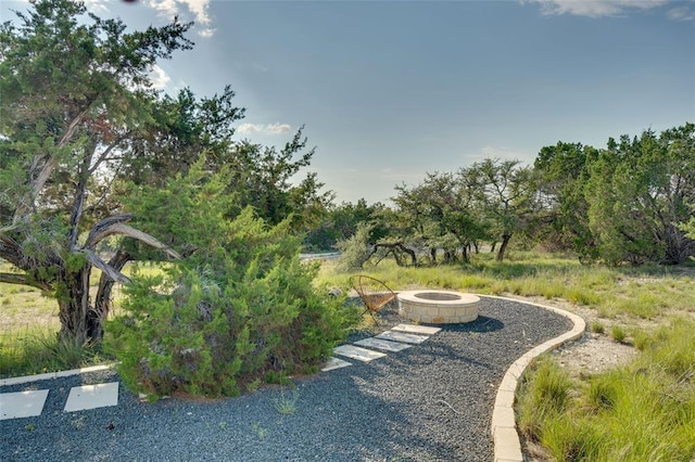 951 Myers Creek Rd, Dripping Springs, TX 78620 - photo 10