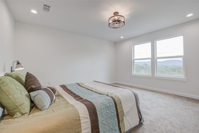 18500 Roundrock Rd, Jonestown, TX 78645 - photo 15