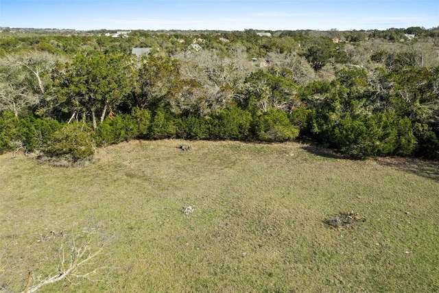 Listing photo 3 for 262 Beauchamp Rd, Dripping Springs TX 78620