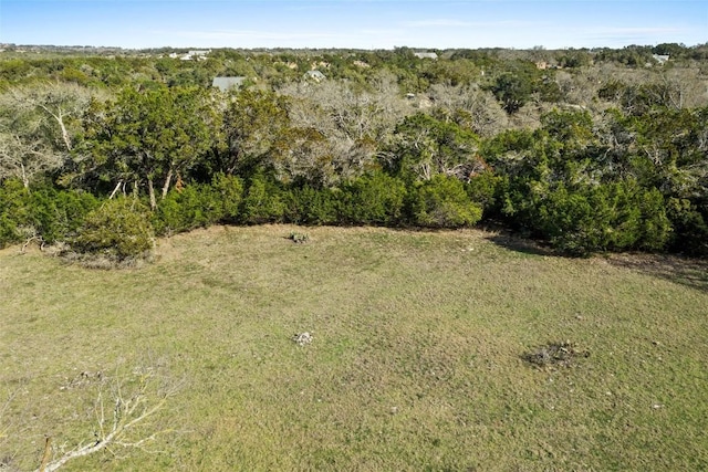 262 Beauchamp Rd, Dripping Springs, TX 78620 - photo 3