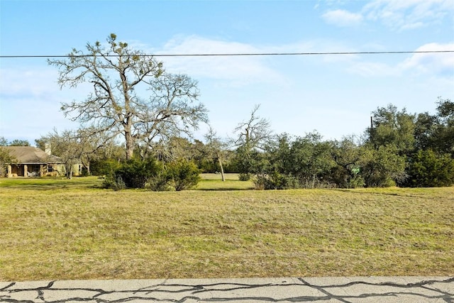 262 Beauchamp Rd, Dripping Springs, TX 78620 - photo 5