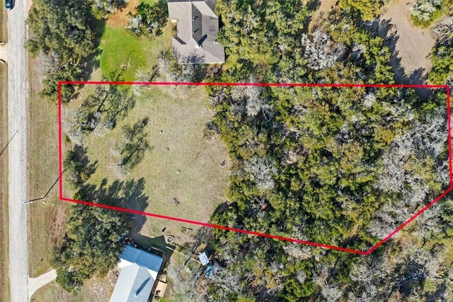 262 Beauchamp Rd, Dripping Springs, TX 78620 - photo 8