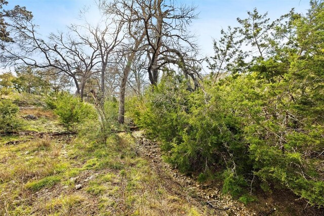 262 Beauchamp Rd, Dripping Springs, TX 78620 - photo 14