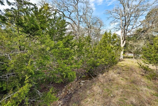 262 Beauchamp Rd, Dripping Springs, TX 78620 - photo 15