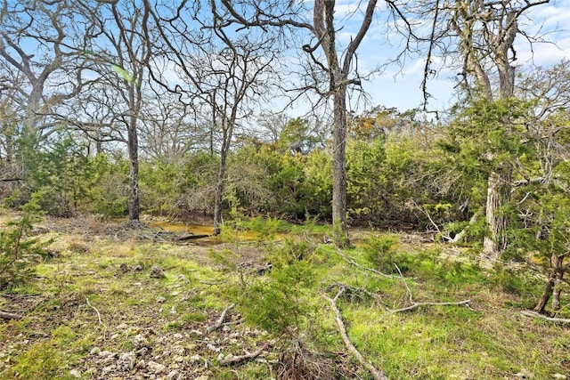 262 Beauchamp Rd, Dripping Springs, TX 78620 - photo 16
