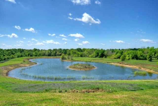 view of water feature