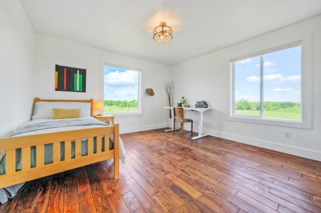 bedroom featuring multiple windows and wood-type flooring