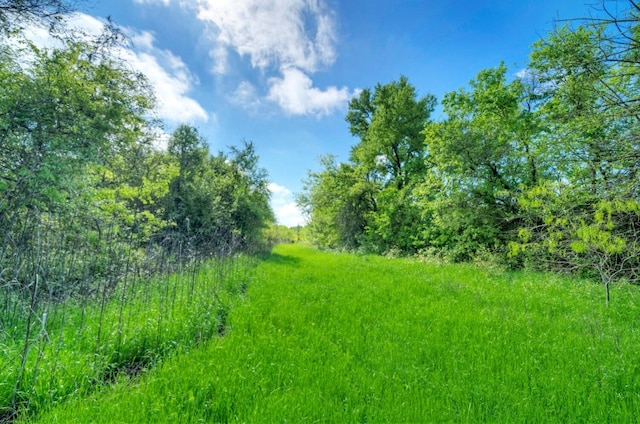 view of nature