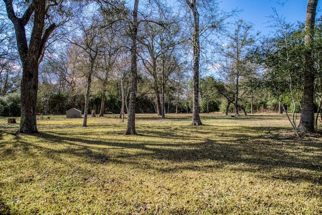 9865 Fm 2981, Fayetteville, TX 78940 - photo 31