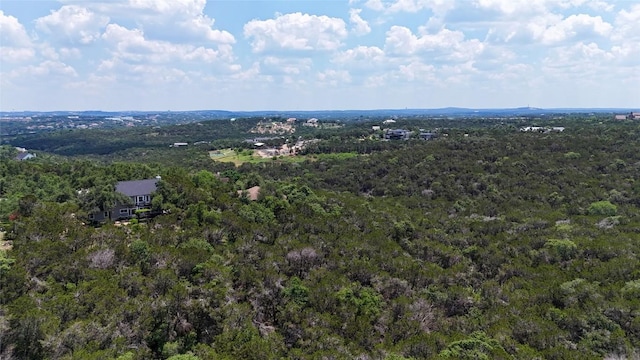 702 Crystal Mountain Dr, Austin, TX 78733 - drone / aerial view of a forest