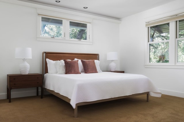 bedroom featuring carpet flooring and multiple windows