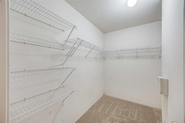 3580 Rock Shelf Ln, Round Rock, TX 78681 - spacious closet featuring carpet flooring