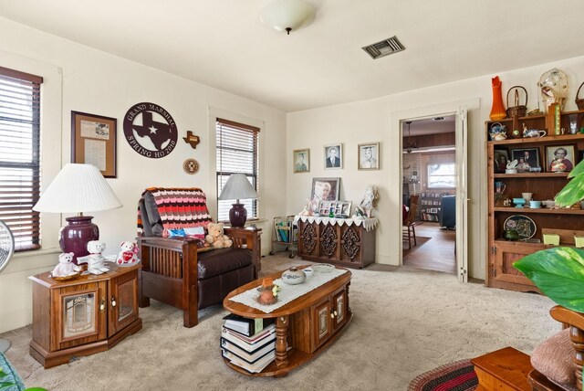1003 Ridge St, Lampasas, TX 76550 - photo 4