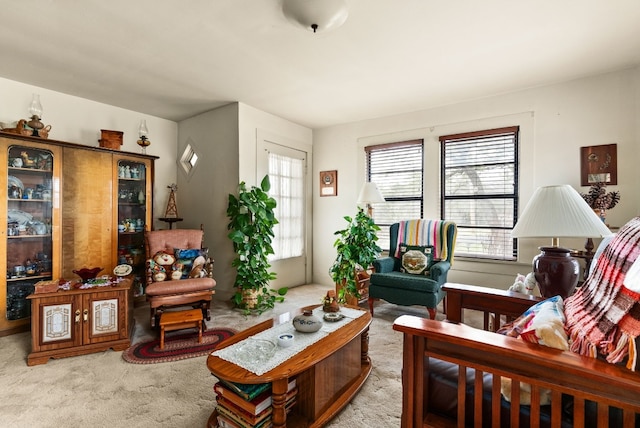 living area featuring light colored carpet