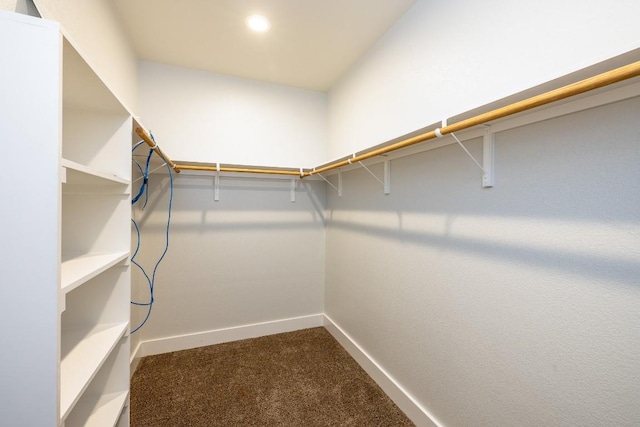 walk in closet with carpet flooring