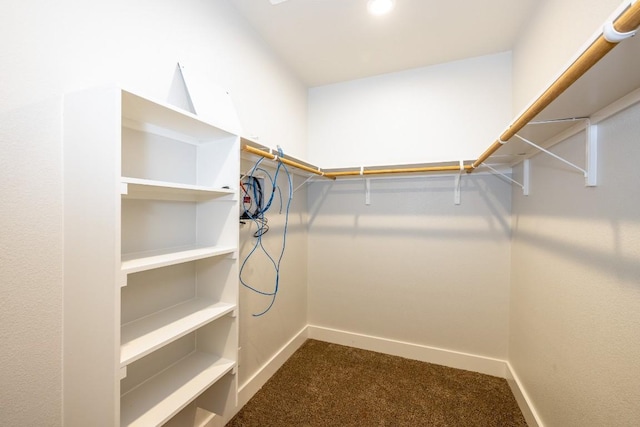 walk in closet with dark carpet