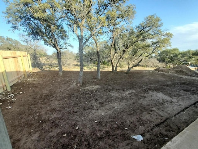 1505 Cole Estates Dr, Georgetown, TX 78628 - view of yard