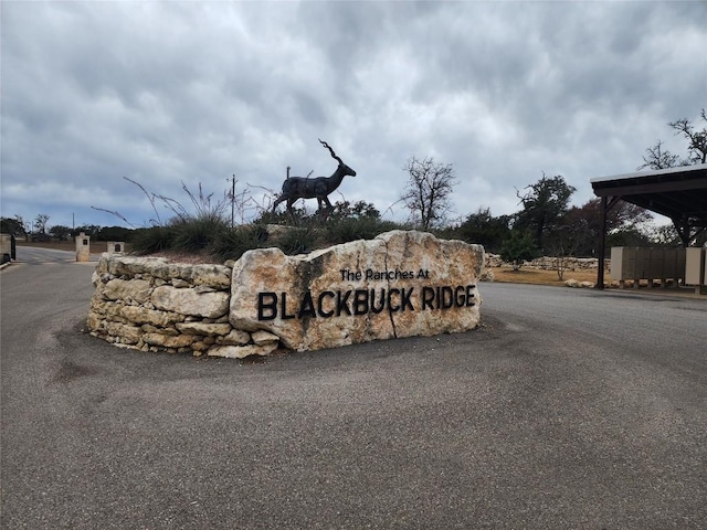 LOT162 Addax Ct, Lampasas TX, 76550 land for sale