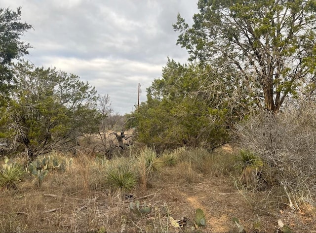 LOT262 W Briarway Dr, Granite Shoals TX, 78654 land for sale