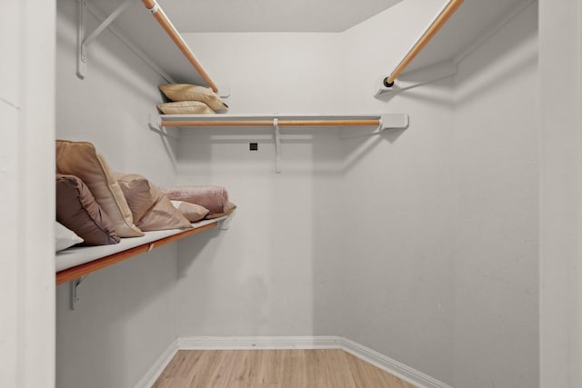 walk in closet featuring hardwood / wood-style flooring