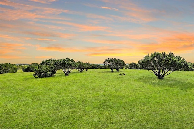 nature at dusk with a rural view