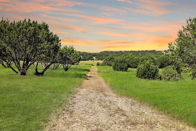 nature at dusk with a rural view