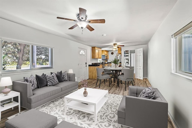 living room with hardwood / wood-style flooring and ceiling fan