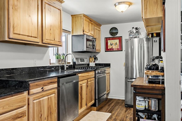 kitchen with dark stone countertops, stainless steel appliances, dark hardwood / wood-style flooring, and sink