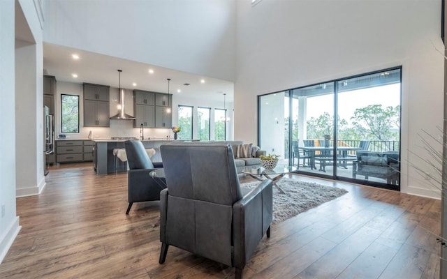 5408 Destination Way, Jonestown, TX 78645 - living room featuring wood finished floors, recessed lighting, and a high ceiling