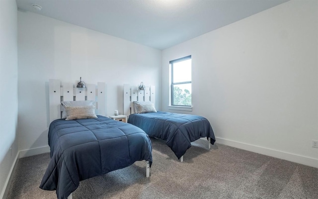 5408 Destination Way, Jonestown, TX 78645 - bedroom with baseboards and carpet floors