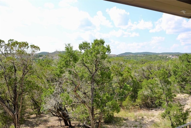 5408 Destination Way, Jonestown, TX 78645 - view of mountain background featuring a heavily wooded area