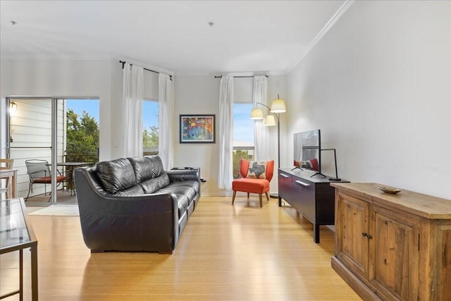 living room featuring crown molding and light hardwood / wood-style flooring