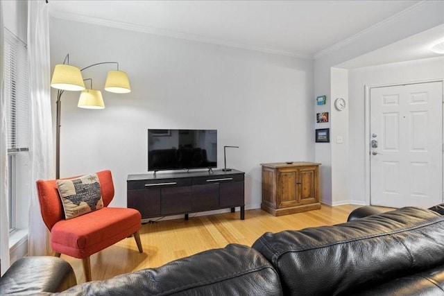 living room featuring light wood-type flooring and crown molding