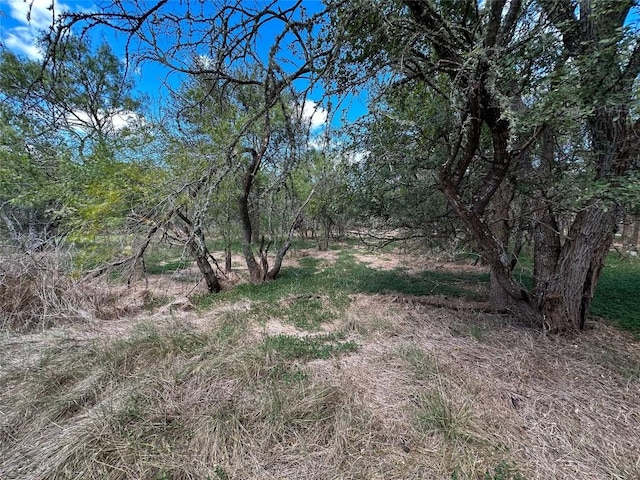 Listing photo 3 for LOT959 Puu Waa Waa Ln, Bastrop TX 78602