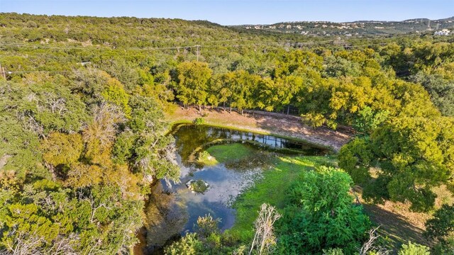 2412 Bee Creek Rd, Spicewood, TX 78669 - photo 37