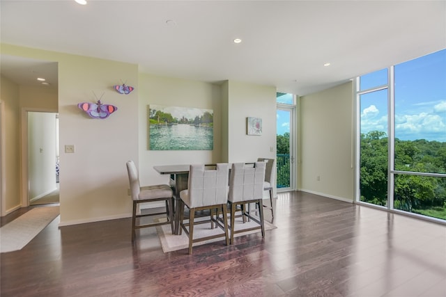 dining area with expansive windows and dark hardwood / wood-style floors