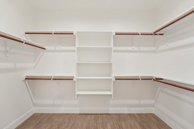 walk in closet featuring wood finished floors