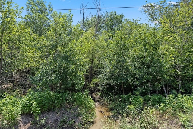 0 Fm-969 Rd, Austin, TX 78653 - photo 8