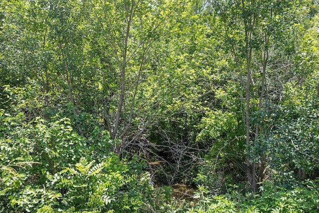 0 Fm-969 Rd, Austin, TX 78653 - photo 9