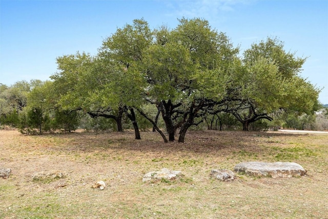1080 Beauchamp Rd, Dripping Springs, TX 78620