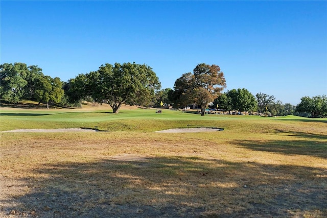 view of community featuring a lawn