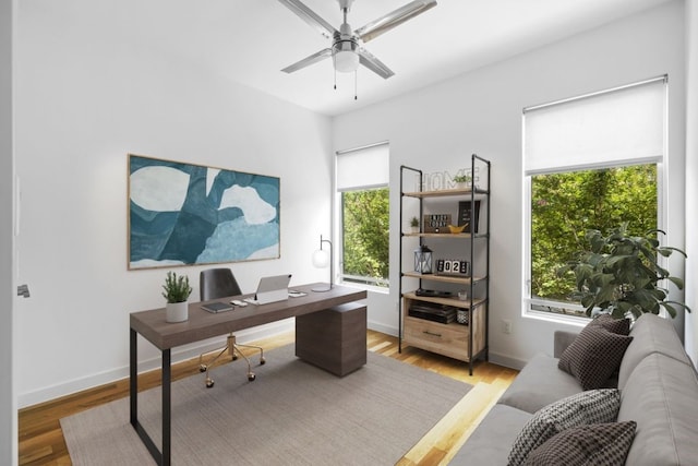 office featuring wood finished floors, a ceiling fan, and baseboards