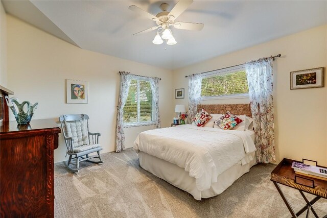 20505 Genessee Cv, Lago Vista, TX 78645 - carpeted bedroom with ceiling fan