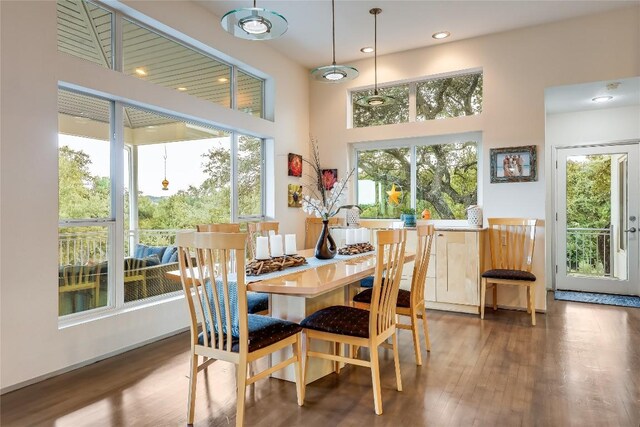 20505 Genessee Cv, Lago Vista, TX 78645 - dining space featuring wood finished floors and recessed lighting