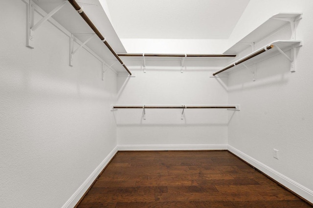 578 Ledge Stone Dr, Austin, TX 78737 - spacious closet featuring dark wood finished floors