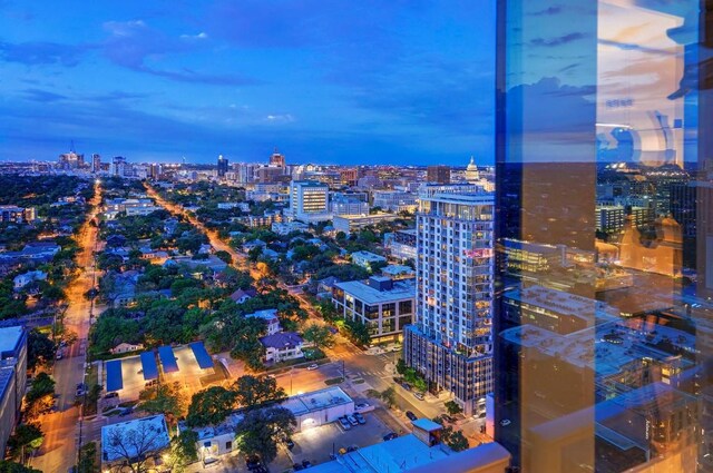 501 W Ave Unit 2904, Austin, TX 78701 - city view