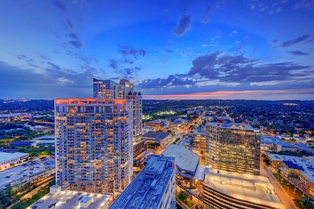 501 W Ave Unit 2904, Austin, TX 78701 - view of city