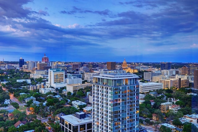 501 W Ave Unit 2904, Austin, TX 78701 - city view